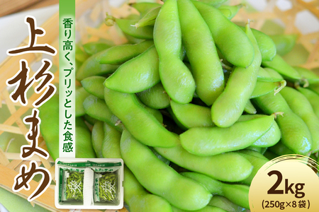 【先行予約】 令和8年産 枝豆 上杉まめ 2kg ( 250g × 8袋 ) 1箱 品種おまかせ 2026年8月上旬～下旬頃 お届け予定
