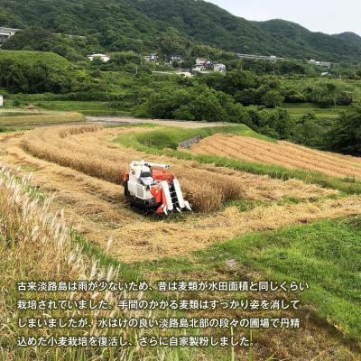 ふるさと納税 淡路市 淡路市尾崎産　全粒粉小麦粉 詰合わせセット(やば恋 小麦)　ah26001 |  | 01