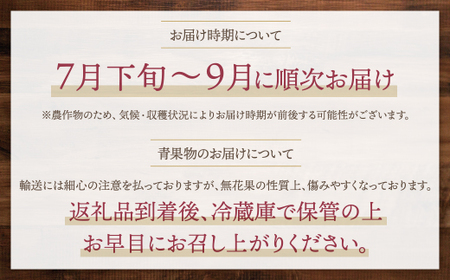 P20-01 予約 とよみつひめイチジク(4ﾊﾟｯｸ) イチジク フルーツ 果物 いちじく イチジク フルーツ 果物 いちじく イチジク フルーツ 果物 いちじく イチジク フルーツ 果物 いちじく 