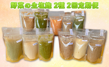 【塩麹2種×2ヶ月連続お届け 定期便】サニーサイドアップカフェ 野菜の生塩麹（ソフリット＋季節セレクト） 調味料 発酵調味料 発酵食品 万能調味料 ビタミンB 抗酸化作用 整腸作用 