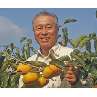 ふるさと納税 かつらぎ町 和歌山県産たねなし柿 約7.5kg 3Lまたは2Lサイズ・28個または32個入り |  | 03