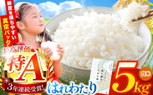 鮮度を保ちやすい 真空パック ！はれわたり 白米 5㎏ | 米 お米 こめ コメ  5kg 2025年産 令和7年度産 国産 産地直送 もっちり 甘み 定期 青森の旨い米グランプリ 最優秀賞 獲得 水稲 宝精米所 青森県 六戸町