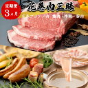 【ふるさと納税】【定期便3ヵ月】花巻肉三昧 (白金豚・ほろほろ鳥・黒ぶだう牛） BBQ しゃぶしゃぶ ステーキ ソーセージ 花巻市