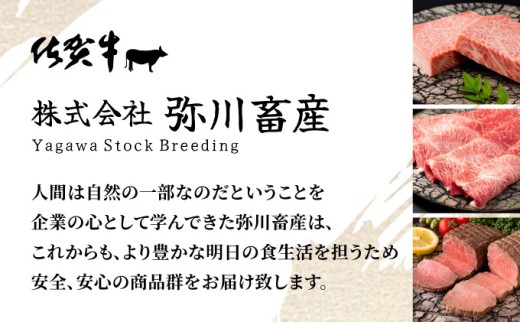 佐賀牛しゃぶしゃぶ・すき焼用スライス 520g【42yc-010】