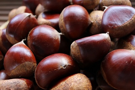 和栗モンブラン 2個 セット 丹波栗 スイーツ 低温熟成栗使用 国産 くり 栗 京都 京丹波 濃厚 ご当地グルメ お取り寄せ ギフト 菓歩菓歩 capocapo ※北海道・沖縄・その他離島は配送不可 