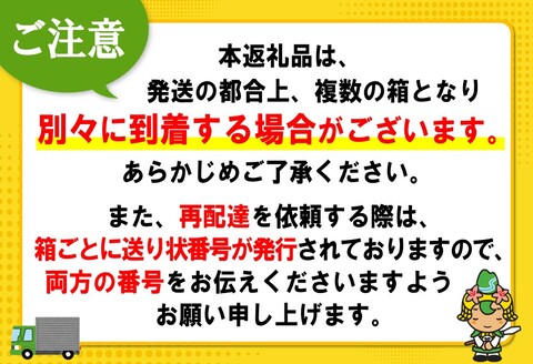 爽健美茶 2L(2ケース)計12本【コカコーラ カフェインゼロ 香ばしい おいしい 国産 ブレンド茶 お茶 ハトムギ 玄米 月見草 大麦 ドクダミ 植物素材 お徳 ペットボトル】 Z4-A047080