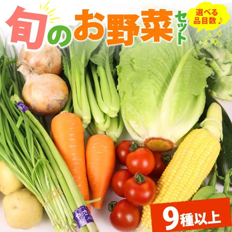 野菜セット 9品目 以上 野菜セット