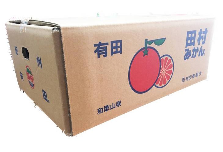 G7342_高級ブランド 田村みかん 5kg【家庭用 訳あり】