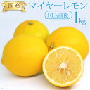 【ふるさと納税】【産地直送】国産 レモン 1kg マイヤーレモン [長崎県農産品流通 長崎県 雲仙市 item1942] れもん 檸檬 果物 くだもの フルーツ 1キロ 期間限定