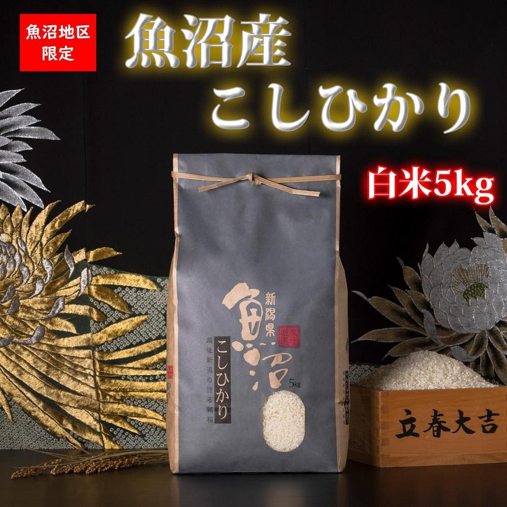 【令和7年産】魚沼産コシヒカリ【白米5kg】【米 お米 こしひかり 南魚沼 米 白米 こめ 新潟 米】