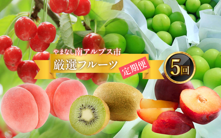 ＜2026年発送分先行予約＞フルーツギフト専門店が選ぶ南アルプスの厳選フルーツ定期便　全5品種（さくらんぼ・桃・貴陽・シャインマスカット・キウイ） ALPAH048