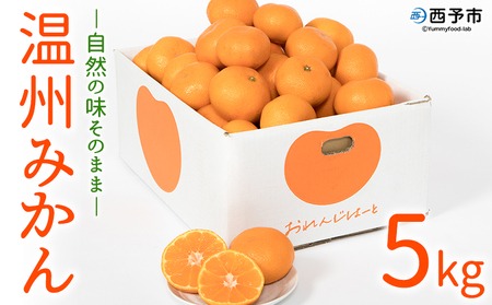 ＜温州みかん 約5kg＞ 選べる 柑橘 みかん ミカン 蜜柑 果物 くだもの フルーツ オレンジ うんしゅうみかん 国産 愛媛県産 特産品 おれんじはーと 食べて応援 西宇和 愛媛県 西予市 【常温】『2025年11月中旬～2026年1月中旬迄に順次出荷予定』MOH0002