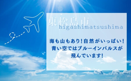 牛タン 縦スライス 塩味 800ｇ（1頭分）冷凍 薄切り 牛たん スライス たん元 たん中 焼肉 バーベキュー BBQ 2～3ｍｍ  4～5人前 宮城県 東松島市 オンラインワンストップ 対応 自治体