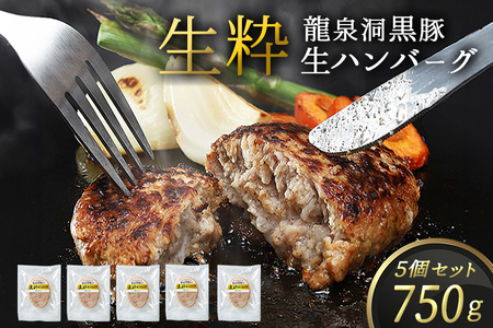 龍泉洞黒豚 生粋 生ハンバーグ 150g×5個 (合計750g) (DV026) 岩手県産 龍泉洞黒豚使用 生ハンバーグ 小分け 冷凍パック