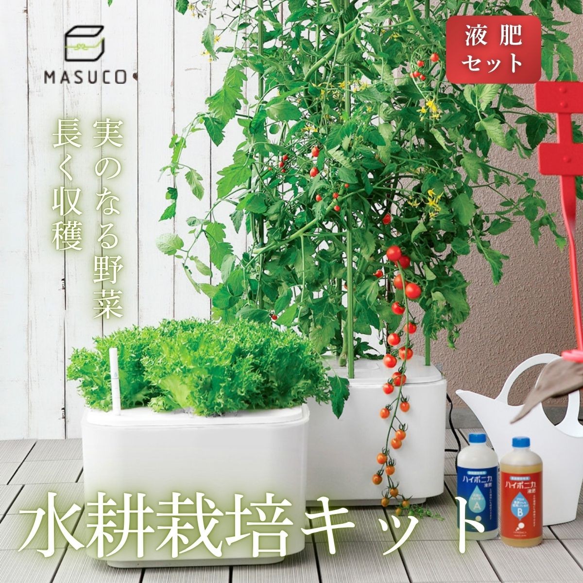 
                  水耕栽培キット ホームハイポニカMASUCO 室内 野菜栽培 家庭菜園 水耕栽培器 植物工場 自動給水 LED 兵庫県丹波篠山市
                