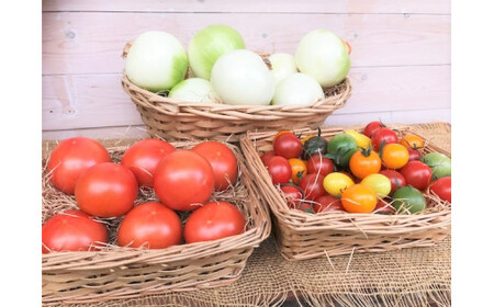 【4月～6月の定期便】トマト好き全員集合 トマト・トマト・トマト3か月お届けパック 野菜ソムリエサミット 金賞 受賞 長田農園 産地直送 トマト とまと 野菜 やさい フルーツ サラダ 濃厚 甘い ご