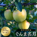 【ふるさと納税】ぐんま名月（約5kg、優14～18玉）| 果物 フルーツ りんご ぐんま名月 信州 立科町