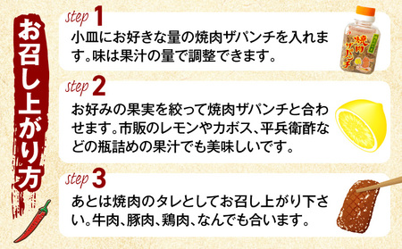 調味料 塩だれ 調味料 焼肉ザパンチ 1個