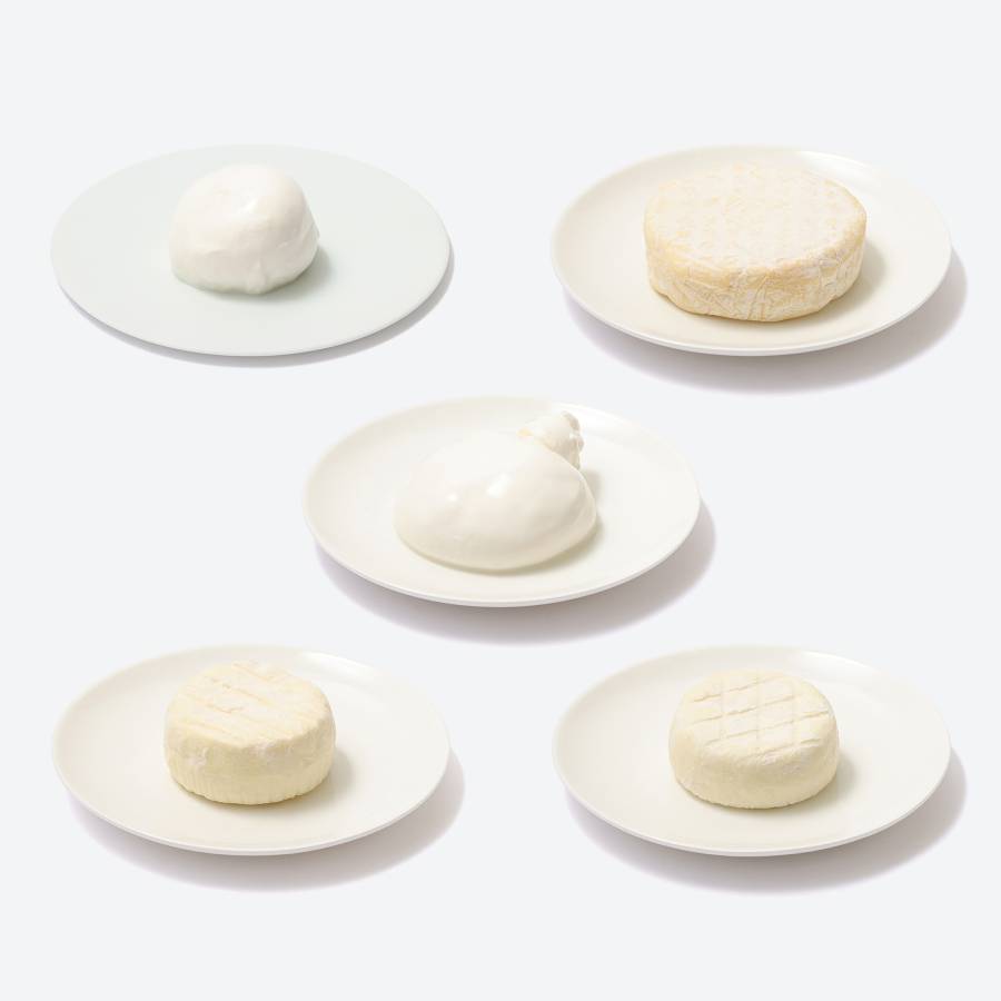 ＜Lactoserum＞「フレッシュ＆熟成チーズ」5種（モッツアレラ・ブッラータ・つやこフロマージュ・ツツー他）計580g【12ヵ月定期便】