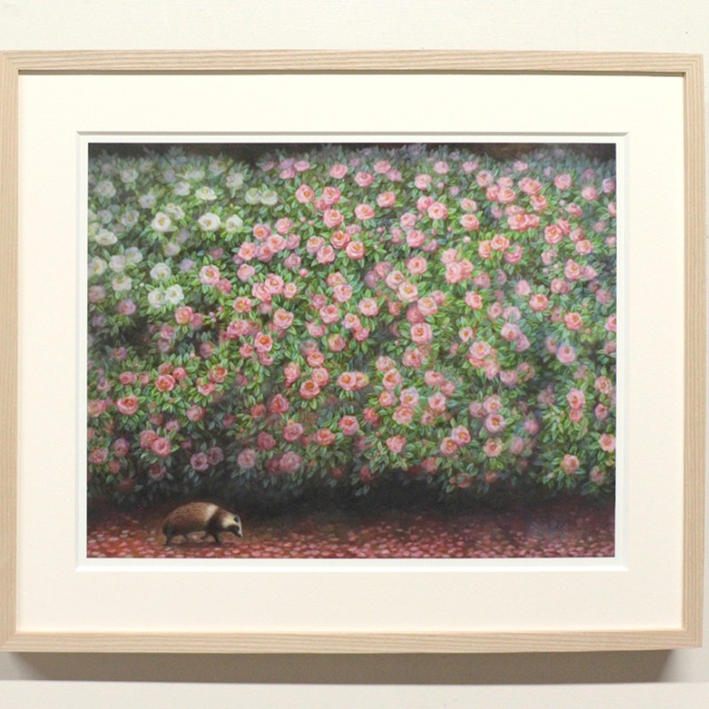 池上夏生 額付き高級プリント ”たぬきと山茶花”