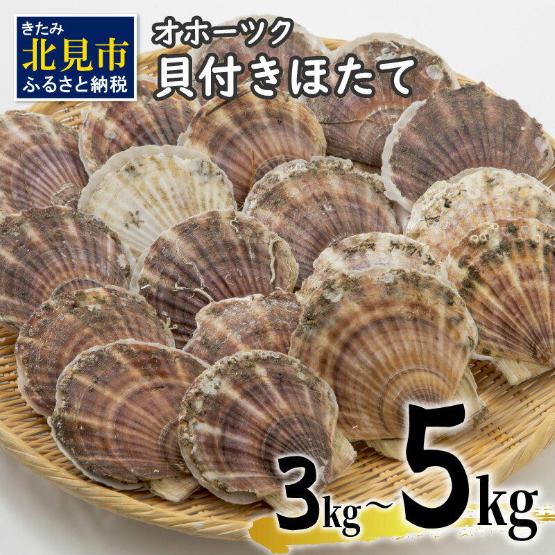 オホーツク朝採れ貝付きほたて 4kg(25枚〜40枚)