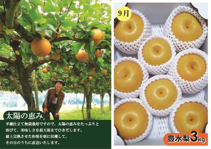 【定期便：全２回】アルコアーナ農園のフルーツ定期便Ａコース（和梨、シャインマスカット）　0148-2604