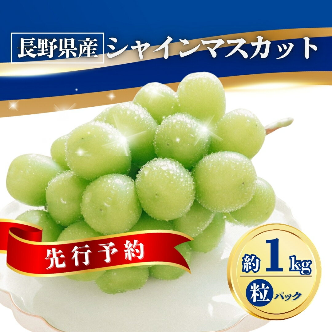 【ふるさと納税】【2025年先行予約】ぶどう シャインマスカット粒パック 約1kg|葡萄 グレープ 果物 フルーツ シャインマスカット 1kg 信州ぶどう 信州葡萄 産地直送 種無し 皮ごと食べれる 白ぶどう マスカット 信州 長野 千曲市 送料無料