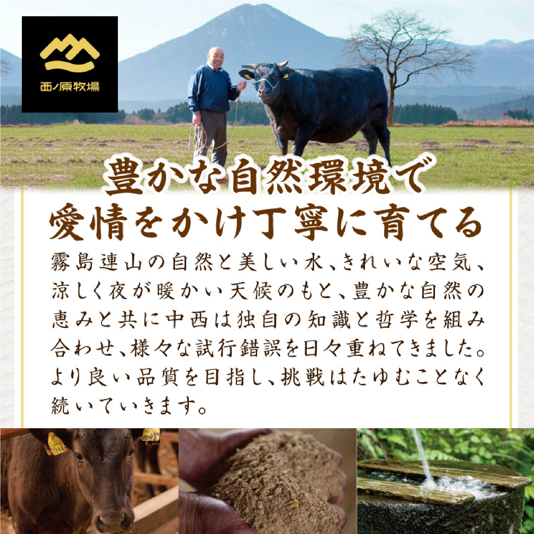 宮崎県西ノ原牧場・なかにし和牛リブアイステーキ 600g 牛肉 宮崎牛 産地直送 ステーキ 3枚 冷凍 焼肉_イメージ5