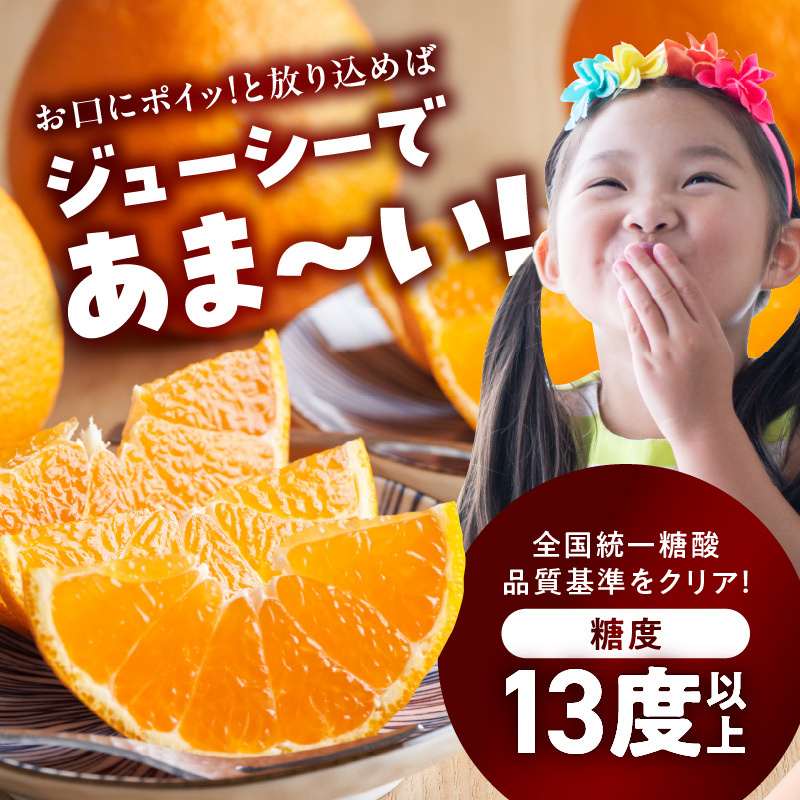 BD7008_【2026年先行予約】和歌山有田産 デコポン秀品のみ！ 2.5kg（9～12玉）_イメージ2
