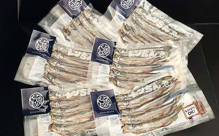 レンちん君釧路産本しゃもオス30尾セット シシャモ 冷凍 魚 海産物 一夜干し 北海道 F4F-8445