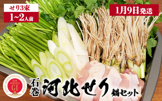 【1月9日発送】せり鍋 セット 1-2人前 せり 長ねぎ パックご飯 スープ 鶏肉 セリ セリ鍋 河北せり 野菜 鍋