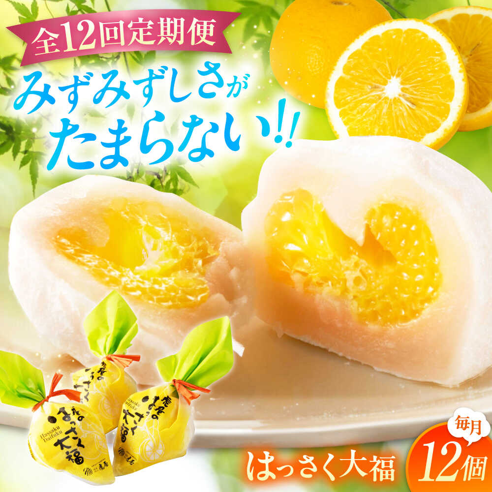 【ふるさと納税】【12回定期便】お菓子 はっさく大福12個入 お菓子 大福 八朔 柑橘 みかん オレンジ 餅 ギフト お取り寄せ スイーツ フルーツ大福 ご当地 菓子 おかし デザート 食品 人気 おすすめ 広島県福山市/株式会社虎屋本舗[BADH016]