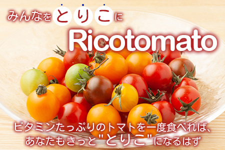 【先行予約】 たにぐちファーム カラフルミニトマト 約1kg 『Ricotomato とりこになるトマト』 B-280