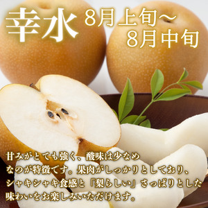 【8月上旬から9月上旬まで発送】 梨 5kg 豊水 幸水 国産