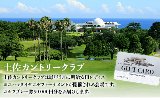 土佐カントリークラブ プレー券 90,000円分 - ゴルフ場 チケット プレー券 ラウンド コース 90000円 趣味 体験 スポーツ アウトドア 手結山開発観光株式会社 高知県 香南市 kb-00