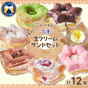 【ふるさと納税】ドーナツ お菓子 おやつ 生クリーム サンド フルーツ 12個 セットスイーツ グルメ 果物 レモン 栗 いちご 季節 詰め合わせ 送料無料 お取り寄せ ギフト 贈り物 贈答用 プレゼント おすすめ コロナ 群馬県 千代田町＜ヌーベルオリジン＞