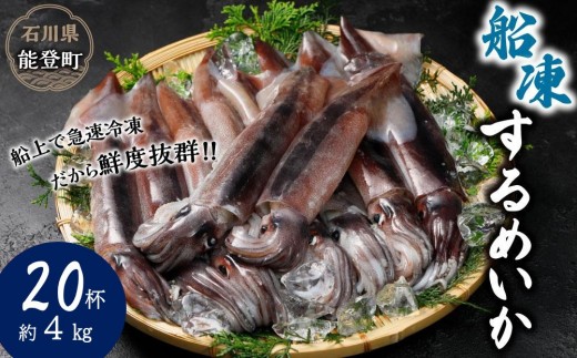 【復興支援】船凍するめいか 約4kg 20杯 ( 2杯 × 10袋 )小分け 個包装 刺し身 海産物 魚介類 獲れたて 急速冷凍 新鮮 刺身 さしみ 烏賊 人気 おすすめ ご当地グルメ カルパッチョ パスタ いかめし 煮物