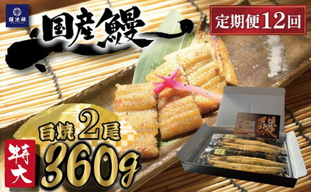 【定期便12ヶ月】[特大] 国産 関西風地焼き うなぎ【白焼】 2尾 360g以上 ｜ うなぎ 泉大津 鰻 蒲焼き 冷凍鰻 活鰻 鰻次郎 うな重 土用の丑の日 お取り寄せ 高級 うなぎの日 ウナギ unagi ※離島への配送不可