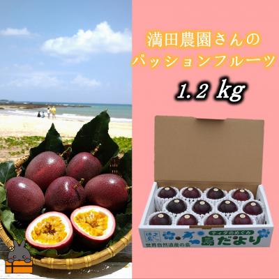 ふるさと納税 徳之島町 【先行予約】満田農園さんのパッションフルーツ(約1.2kg) |  | 01
