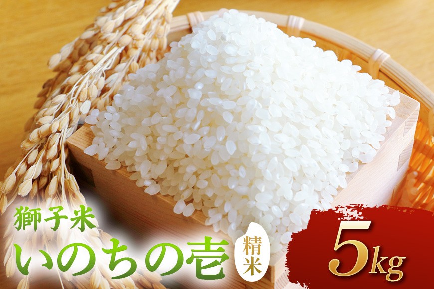 
                  【令和8年産】獅子米　いのちの壱（精米）5kg
                