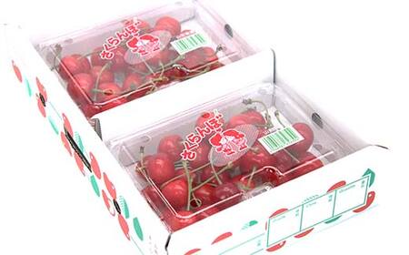 【令和7年産先行予約】 さくらんぼ 「佐藤錦または紅秀峰」 400g (200g×2パック 秀 L以上) 《令和7年6月上旬～発送》 『南陽中央青果市場』 小分け サクランボ 果物 フルーツ 山形県 