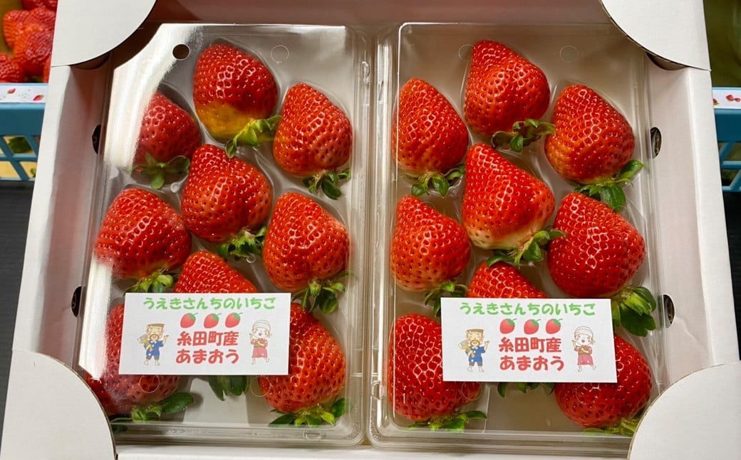 福岡県産 あまおう 2パック