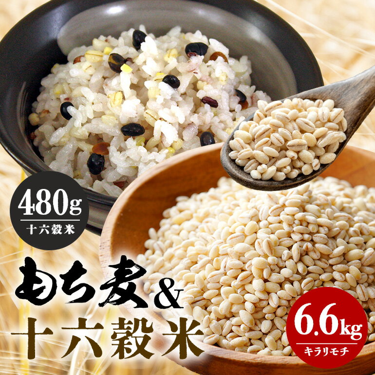 【ふるさと納税】広島県安芸高田産 特選もち麦 キラリモチ 6.6kg + 国内産十六穀米 480g セット 国産