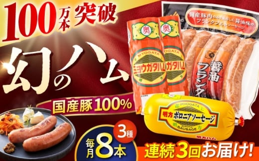 【3回定期便】明方ハム詰め合わせ Bセット / 明方 ハム 厚切り ボロニアソーセージ ハムステーキ 朝食 フランクフルト ウインナー BBQ ソーセージ フランク 箱入り ギフト / 御嵩町 / めぐみの農業協同組合 [AVBA006]