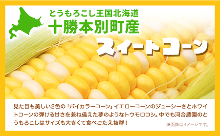 朝採りとうもろこし 河合農園のスイートコーン 12本 特大サイズ(1本380g以上) 河合農園《2026年8月上旬-9月中旬頃出荷》特大 北海道とうもろこし　とうもろこし　とうもろこし　とうもろこし 