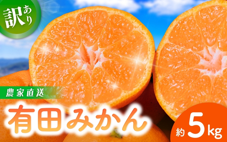 【訳あり】農家直送  有田みかん 約5kg ご家庭用 サイズ混合 ※2025年11月中旬から2026年1月中旬までに順次発送予定（お届け日指定不可）※北海道・沖縄・離島配送不可 サイズ混合 訳あり 温州みかん  柑橘 有田 【nuk161C】