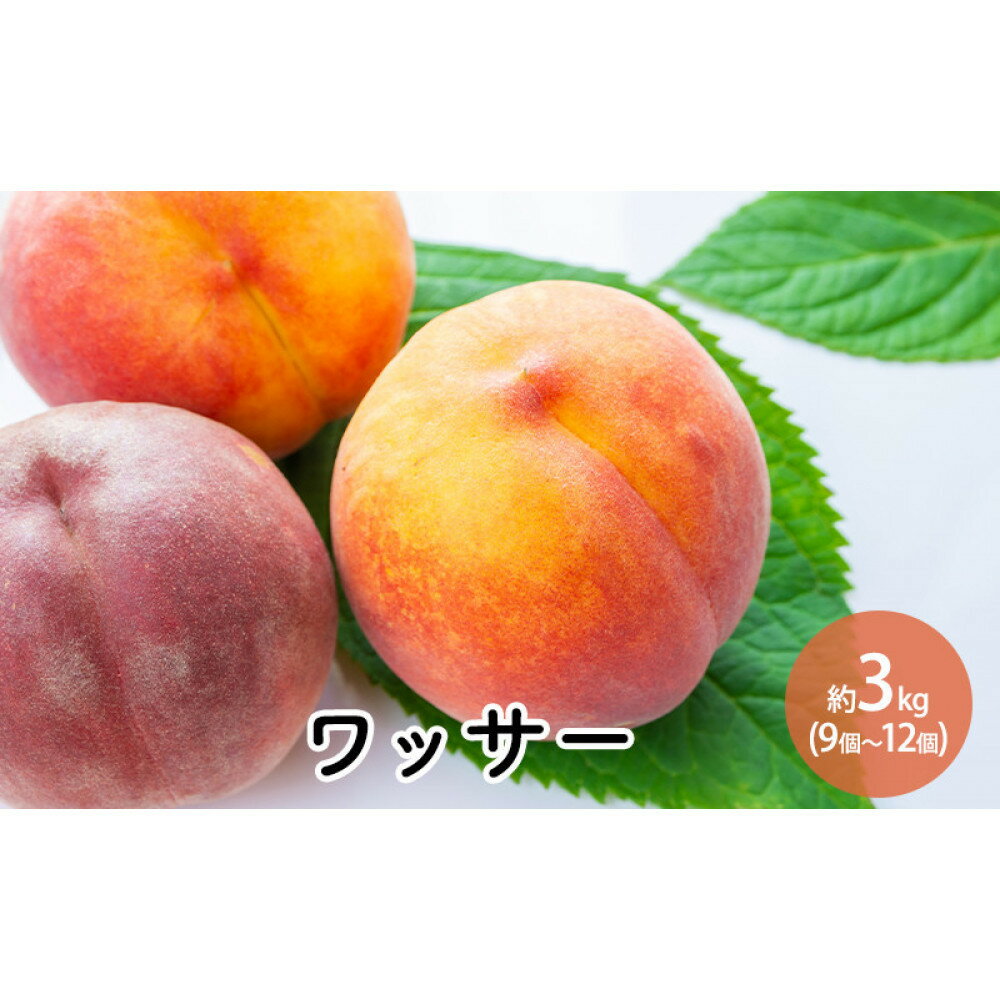 【ふるさと納税】ワッサー約3kg（9個～12個）
