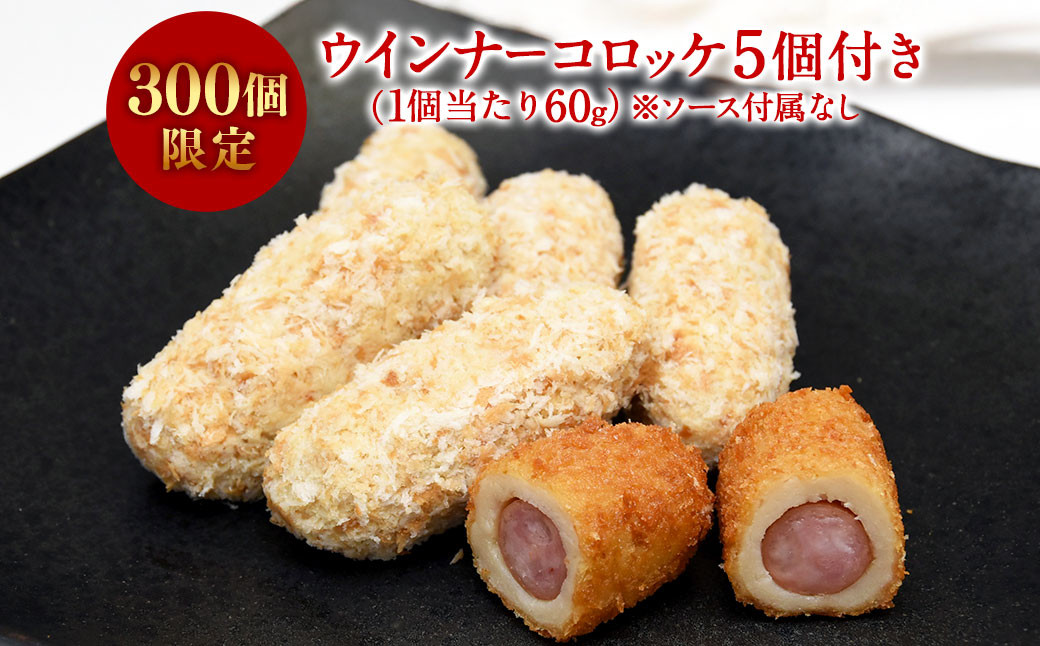 飛騨牛 ハンバーグ 5枚セット（1枚150g）個数300個限定で ウインナー コロッケ 5個付き1個当たり60g