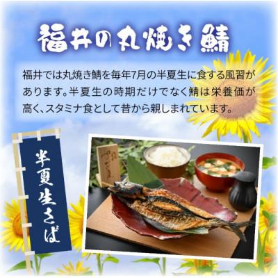 ふるさと納税 福井市 福井名物 串焼き鯖と串焼き赤かれいセット 合計2本 |  | 01