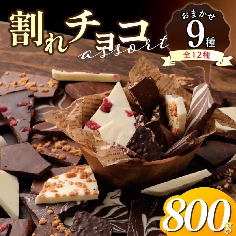 割れチョコアソート　おまかせ9種　800g 〔Dw134〕